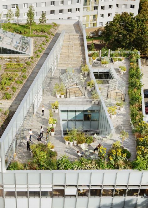 Rooftop Garden Urban, Retail Facade, Rooftop Design, Small Greenhouse, Roof Architecture, Building Roof, Natural Ventilation, Rooftop Garden, Roof Garden