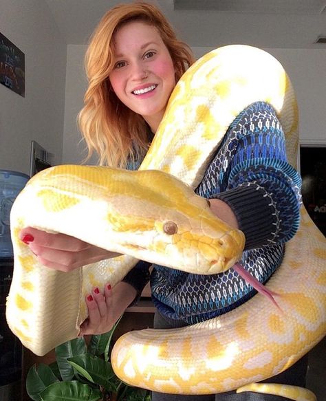 Big girl cuddles Big Snake Aesthetic, Big Snakes, Big Snake, Danger Noodles, Pretty Snakes, Reptile Room, Corn Snake, Snake Lovers, Cute Reptiles