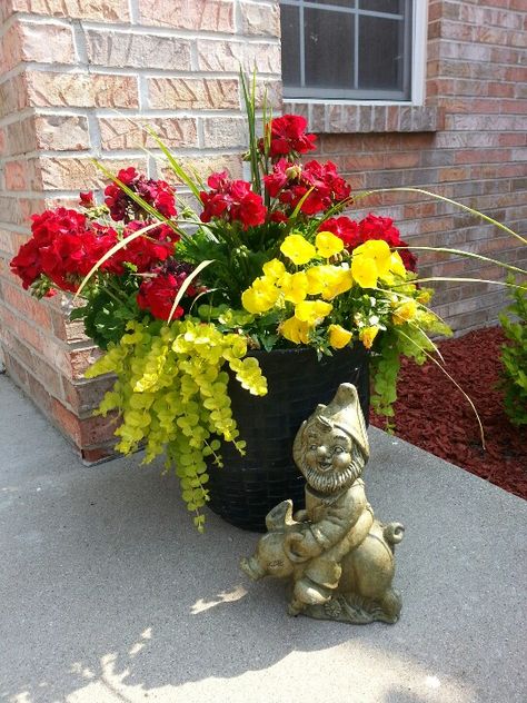 Red Geraniums, yellow pansies, spike and creeping Jenny...love how my container turned out...the gnome agrees! Red And Yellow Flowers In Planters, Geraniums In Pots, Summer Pots, Yellow Pansies, Creeping Jenny, Red Geraniums, Red Brick House, Flower Pots Outdoor, Sun Plants