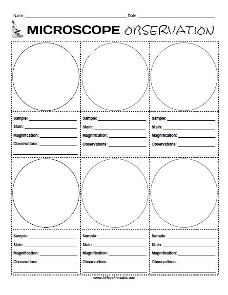 Free Printable Microscope Observation Worksheet. Free Printable Microscope Observation Worksheet, a great activity for students to draw what they observe under the microscope and also write specimen description and detailed observations. Print the Microscope Observation Worksheet free with home or school printer and share with students at the school lab, tutoring, homeshool lab or science classroom. Kids can draw 6 Microscope Worksheet Free Printable, Microscope Observation Worksheet, Science Experiment Worksheet, Microscope Worksheet, Microscope Activity, Microscope Lab, Chromosome Structure, Free Science Worksheets, Microscope Kids