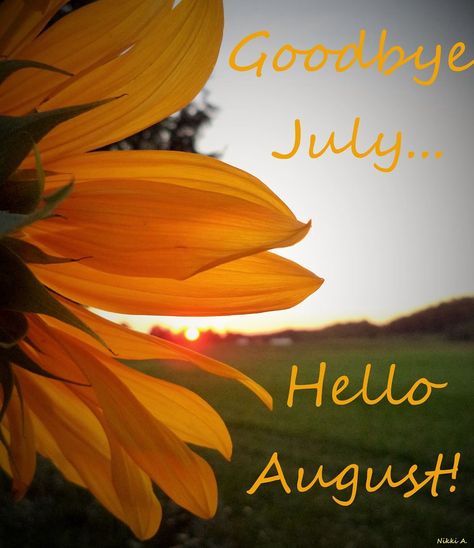 🌞 Goodbye July, Hello August! 🌻 Time flies when you’re having fun! As we say goodbye to July, we’re welcoming August with open arms and lots of exciting new things. From fresh arrivals to fun summer events, we’ve got so much in store for you all! This is the perfect time to refresh your wardrobe and embrace the last stretch of summer vibes. Stay tuned for new collections, exclusive offers, and more. Here’s to a beautiful August full of sunshine, smiles, and unforgettable memories! ☀️💖 #Go... Goodbye July Hello August, Goodbye July, July Hello, Welcome August, Friend Request, Hello August, Thanks For Your Support, Shopping Event, Welcome To The Party