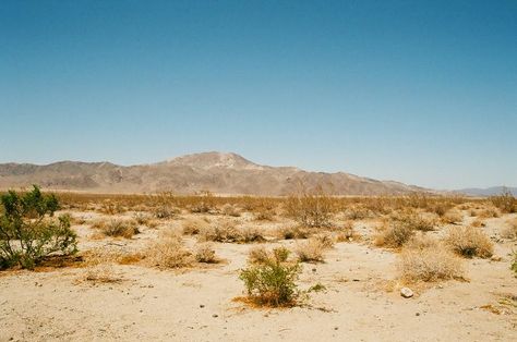 Desert Gothic Aesthetic, Mojave Aesthetic, California Desert Aesthetic, Creepy Desert, The Desert Aesthetic, Desert Grunge, American Desert, Mexican Desert, Desert Canyon