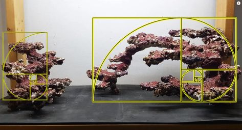 Saltwater Aquarium Rockscape, Marine Aquarium Aquascaping, Saltwater Aquarium Aquascaping, Reef Tank Ideas, Reef Scape, Saltwater Tank Setup, Reef Aquascape, Reef Tank Design, Reef Aquascaping