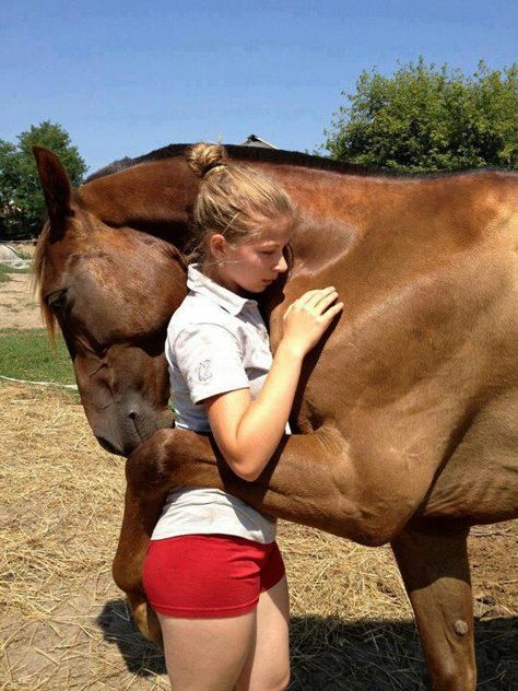 Animal Hugs, Cai Sălbatici, Animale Rare, Haiwan Peliharaan, Pretty Horses, Horse Love, Horse Lover, 귀여운 동물, Beautiful Horses