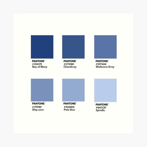 Blue Pantone Palette, Color Swatch Art, Blue Swatches, Gradient Palette, Swatch Art, Pantone Palette, Fake Wedding, Color Pallete, Gray Gradient