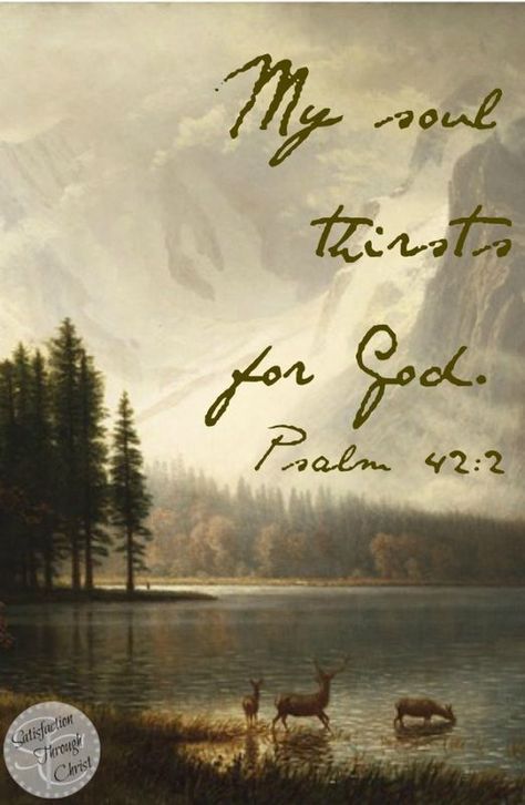 My soul THIRSTS for God.   Psalm 42:2  ❤️ this Scripture! Psalm 42, Book Of Psalms, Soli Deo Gloria, Living Water, Love The Lord, My Savior, Spiritual Inspiration, Scripture Quotes, Christian Inspiration