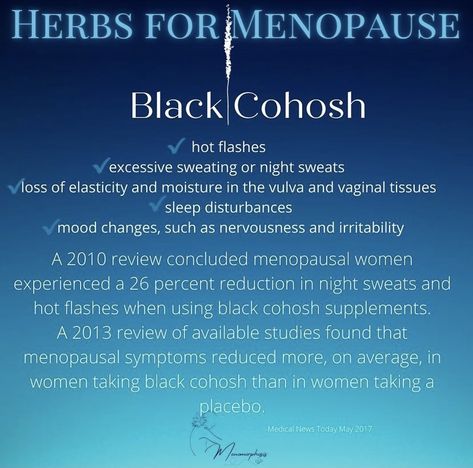 Black Cohosh Side Effects, Black Cohosh Benefits Woman, Black Cohosh Benefits, Vitamin Health, Egg Quality, Female Health, Medical Herbs, Medical Billing And Coding, Healthy Advice