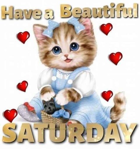 Saturday Quotes Funny, Good Morning Saturday Wishes, Happy Saturday Pictures, Happy Saturday Quotes, Saturday Pictures, Happy Saturday Morning, Happy Saturday Images, Saturday Greetings, Good Morning Christmas