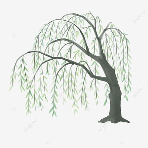 Willow Tree Art, Willow Tree Tattoos, Tree Outline, Tree Doodle, Willow Trees, Tree Drawings Pencil, Weeping Willow Tree, Cartoon Trees, Willow Leaf