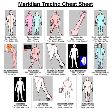 Meridian System, Tcm Traditional Chinese Medicine, Polarity Therapy, Meridian Energy, Energy Medicine, Alternative Healing, Acupressure Points, Healing Modalities, Her Book