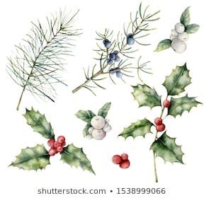 Watercolor Holly, Hand Pattern, Holly Print, Background Winter, Mistletoe Christmas, White Berries, Japan Illustration, Print Background, Winter Floral