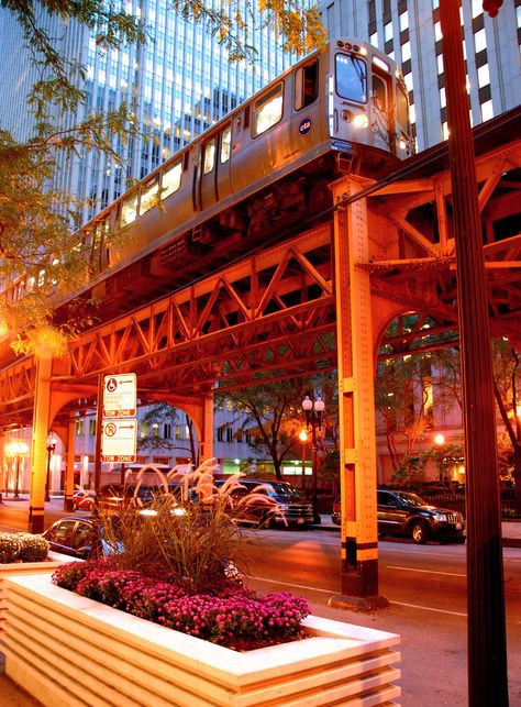 An elevated train stops briefly over one of the streets of downtown Chicago. Pinned by #CarltonInnMidway - www.carltoninnmidway.com Chicago Sights, Chicago Train, Elevated Train, Chicago Transit Authority, Chicago Landmarks, Chicago L, Chicago Pictures, Chicago Street, Chi Town