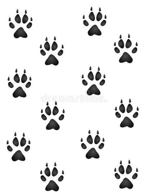 Animal Paw Prints, Wolf Paw Print, Dog Paw Prints, Wolf Paw, Wolf Images, Wolf Print, Wallpaper Illustration, Wolf Drawing, Duck Dynasty