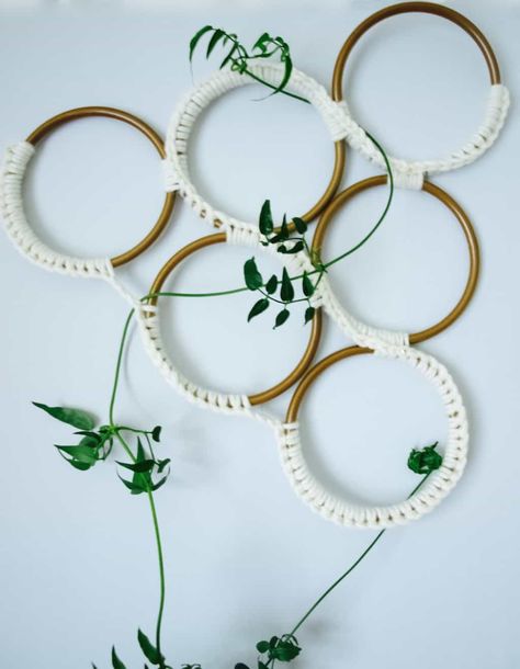 Growing jasmine indoors + macrame style trellis diy - Friendly NettleFriendly Nettle Growing Jasmine, Ivy Plant Indoor, Climbing Plants Trellis, Trellis Diy, Diy Planters Indoor, Indoor Plant Trellis, Indoor Trellis, Plant Trellis, Outdoor Trellis