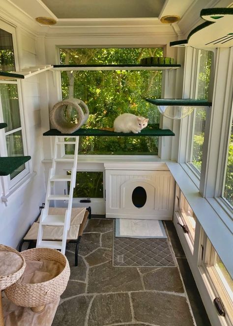 Dröm Hus Planer, Cat Room Decor, Katt Grejer, Cat Patio, Cat House Diy, Animal Room, Cat Room, Dream House Decor, Cat Furniture