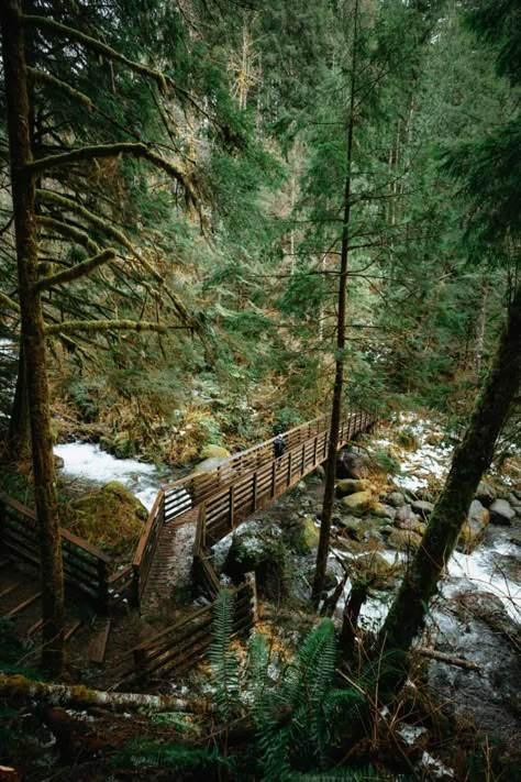 Washington Waterfalls, Amazing Waterfall, Waterfall Hike, Washington State Travel, Washington Hikes, Washington Travel, Landscape Mountains, Waterfall Hikes, Fairy Queen