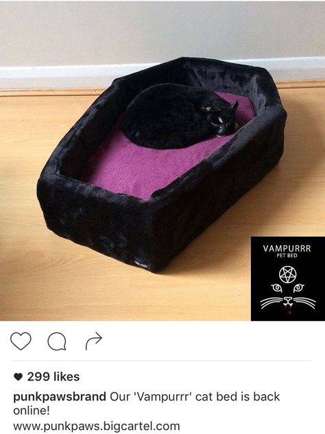 Witchy Cat Furniture, Coffin Cat Tree, Cute Stuff For Cats, Cat Items For Cats, Cute Cat Supplies, Cute Cat Things, Cat Bed Aesthetic, Aesthetic Cat Bed, Coffin Cat Bed