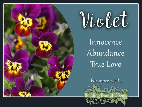 Violet is a powerful flower! Delve deeply into Violet Meaning & Symbolism! Get Violet Color Meanings, Spiritual Meanings & History!   #violet #flowers #floriography #floweressence #nature #garden Violet Symbolism, Violet Flower Meaning, Violet Meaning, Witchy Plants, Plant Symbolism, Plant Meanings, Flower Healing, Tree Meanings, Flower Symbolism