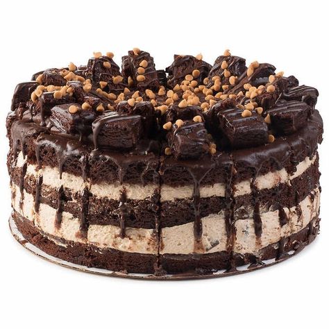 Costco Desserts, Peanut Butter Chocolate Cake, Butter Chocolate Cake, Fruit Cake Recipe, Chef Ideas, Peanut Butter Mousse, Chocolate Peanut Butter Cake, Peanut Butter Cake, Rich Chocolate Cake