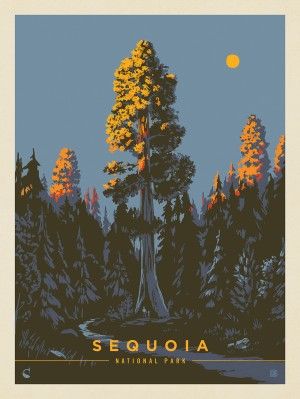 Kenneth Crane Collection | Anderson Design Group General Sherman Tree, General Sherman, Illustrated Poster, Illustration Kunst, Anderson Design Group, Vintage Poster Design, Japon Illustration, Sequoia National Park, Nature Posters