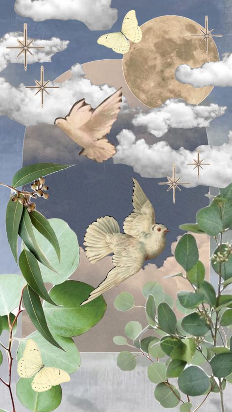 #myfirstshuffle #shuffleinspo #moodboard #dove #eucalyptus #sky #moon Dove Wallper Aesthetic, Dove Wallper, Sky Moon, Butterfly Wallpaper, Iphone Background, Aesthetic Wallpapers, Mood Board, Moon, Wallpapers