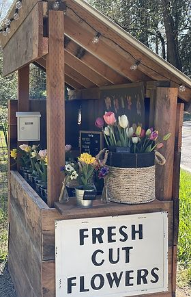 West Linn Oregon, Farmers Market Stand, Farmers Market Display, Garden Stand, Flower Cart, Flower Business, Flower Farmer, Flower Bar, Cut Flower Garden