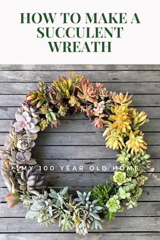 How to Make a Succulent Wreath | My 100 Year Old Home   Today I am sharing how to make a succulent wreath. I love this wreath and the ombre effect is exactly what I was hoping for and I am pleased to say this wreath looks just like this a year later. #succulentwreath #succulentwreaths #succulents #succulentsofinstagram #wreath #springdecor #succulentlover #wreathmaking #wreathmaker #springwreath #succulentart #succulentcuttings #my100yearoldhome Diy Succulent Wreath, Succulent Wreath Diy, 100 Year Old Home, Living Wreath, Succulent Wreath, Old Home, Wire Wreath, Wreath Diy, Small Succulents