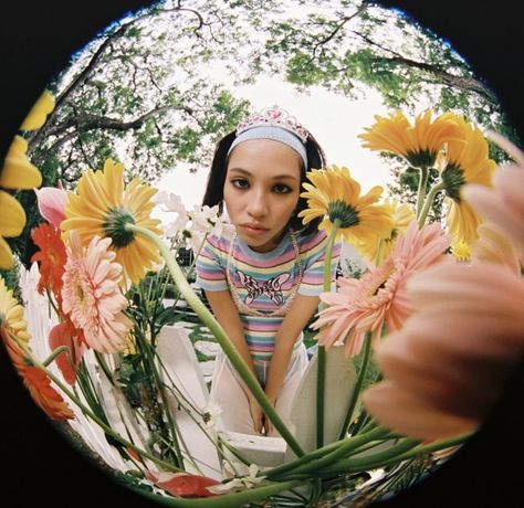 Fish Eye Effect Fish Lens Aesthetic, Fisheye Lens Aesthetic, Fish Eye Aesthetic, Fish Eye Lens Photography, Fish Eye Photography, Lens Aesthetic, Fish Eye Effect, Fisheye Photography, Fish Photography