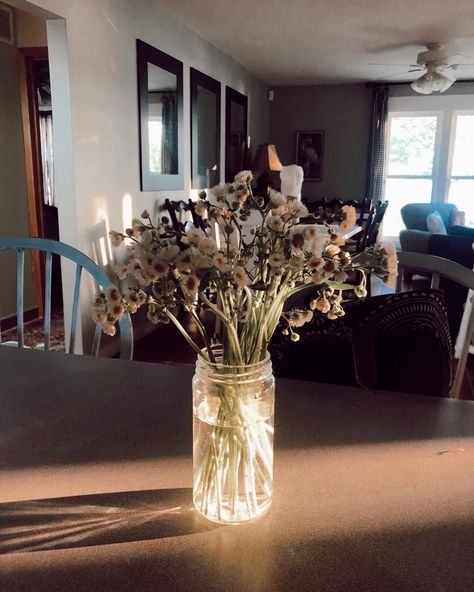 Country Living Aesthetic, Aesthetic Wildflowers, Living Aesthetic, Flowers In Jars, The Sunset, Country Living, Mason Jar, Wild Flowers, Mason Jars