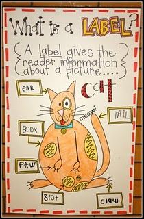 what is a label? I shall have to bring the level of the pic up.. but good for all the non-fiction aspects of science. Kindergarten Anchor Charts, Classroom Anchor Charts, Writing Anchor Charts, 1st Grade Writing, First Grade Writing, Reading Anchor Charts, Kindergarten Writing, Teaching Literacy, Text Features