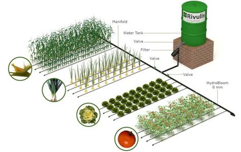 Drip Irrigation System Design, Irrigation System Design, Irrigation System Diy, Food Forest Garden, Growing Vegetables In Pots, Garden Watering System, Drip Irrigation Kit, Vegetable Garden Planner, Hydroponic Farming