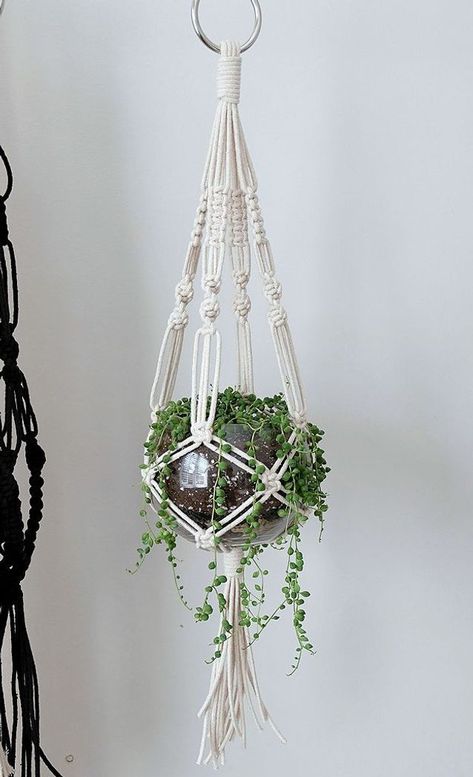 Le macramé est partout. En hamac, en tête de lit, porte-pot, et surtout en suspension pour mettre en avant nos jolies plantes ! #macramé #décoration #plantes #mur #murale #inspiration #art #textile #jungle #nature Macrame Modern, Dorms Decor, Terrarium Gifts, Art Macramé, Macrame Plant Hanger Patterns, Macrame Hanging Planter, Hanging Planters Indoor, Diy Macrame Plant Hanger, Hanger Diy