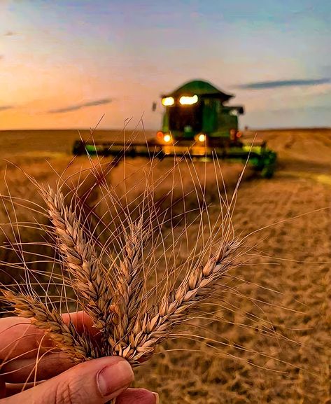 #plantio #agronomia #agronegócio #agropecuária #maquinario Tractor Aesthetic, Agriculture Aesthetic, Farming Photo, Farming Aesthetic, Tractor Photography, Agriculture Pictures, Agriculture Photos, John Deere Tractors Farms, Tractor Photos