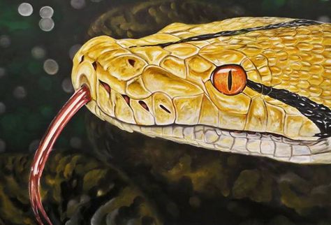 "Flick" By Paul Snyder. 36 x 48, Acrylic, Unframed. Bid online at: tinyurl.com/NatureInArt Horned Snake, Horned Viper, Snake Cute, Godzilla Costume, Viper Snake, Cool Snakes, Snake Venom, Cute Snake, Snake Art