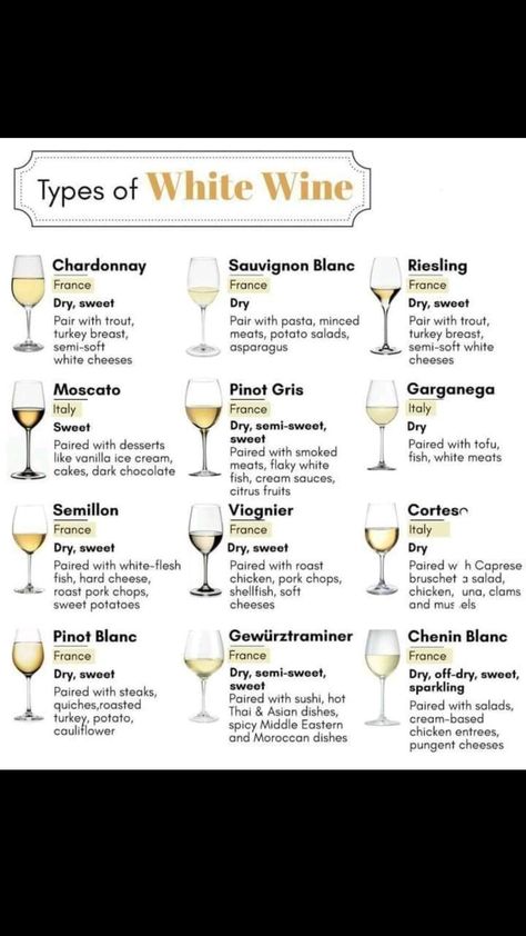 Moscato Pairing, Alcohol Knowledge, Wine And Beer Fridge, Types Of White Wine, Types Of White, Wine Ideas, Restaurant Experience, Fruity Wine, Wine Coolers Drinks