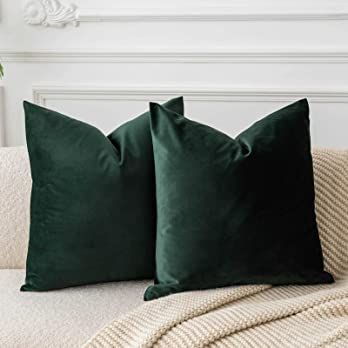 Amazon.com: JUSPURBET Army Green Decorative Velvet Throw Pillow Covers 20x20 Inches Set of 2,Luxury Solid Soft Pillow Covers for Sofa Couch Bed : Home & Kitchen Green Velvet Throw Pillow, Green Velvet Pillow, Couch Pillow Covers, Velvet Throw Pillow, Garden Pillows, Green Pillows, 16x16 Pillow Cover, 20x20 Pillow Covers, Sofa Couch Bed