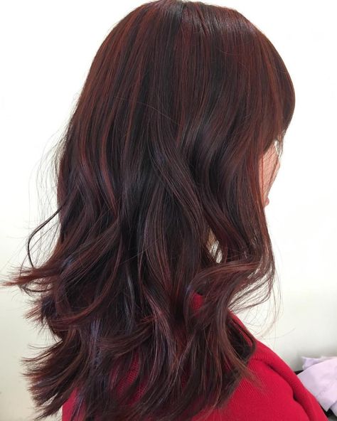 Maroon Balayage For Dark Brown Hair Maroon Balayage, Short Burgundy Hair, Brownish Red Hair, Hair Color Plum, Medium Hair Color, Hair Color Burgundy, Red Brown Hair, Balayage Hair Dark, Brunette Balayage Hair