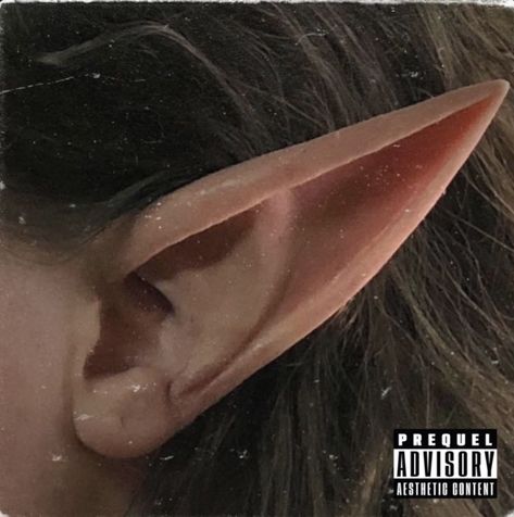 Pointy Elf Ears, Realistic Elf Ears, Elf Ear Body Modification, Elf Ear With Piercing, Long Elf Ears Aesthetic, Pointy Ears Aesthetic, Fairy Ears Drawing, Pointed Ears Aesthetic, Elf Ear Reference