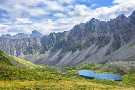 Natural Vegetation, Alpine Tundra, Alpine Landscape, Mountain Range, Merchandise Design, Hairstyles, Range, Natural Landmarks, Travel