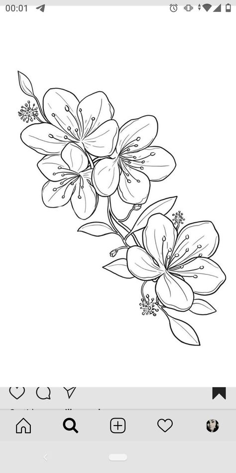 Floral Outline Drawing Simple, Row Of Flowers Tattoo, Types Of Flowers Drawing, Simple Flower Tattoo Outline, Flora Drawings, Drawings Of Flowers, Pencil Drawings Of Flowers, Flower Tattoo Drawings, Floral Line Art