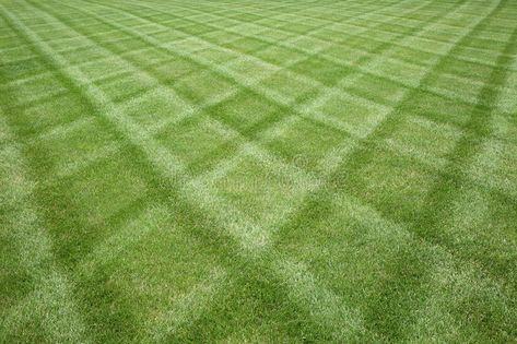 Mowed Lawn, Lawn Striping, Diy Landscape, Aerate Lawn, Lawn Mowing, Lawn Fertilizer, Grass Pattern, Landscape Maintenance, Lawn Sprinklers