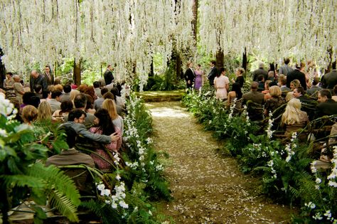 Wisteria canopy.  No, I'm not a huge Twilight fan, but I was enthralled with the scenery for Bella's and Edward's wedding. Twilight Wedding Dresses, Breaking Dawn Wedding, Romantic Night Wedding, Bella Y Edward, Outdoor Wedding Reception Decorations, Twilight Wedding, Cheap Wedding Decorations, Forest Theme Wedding, Twilight Breaking Dawn