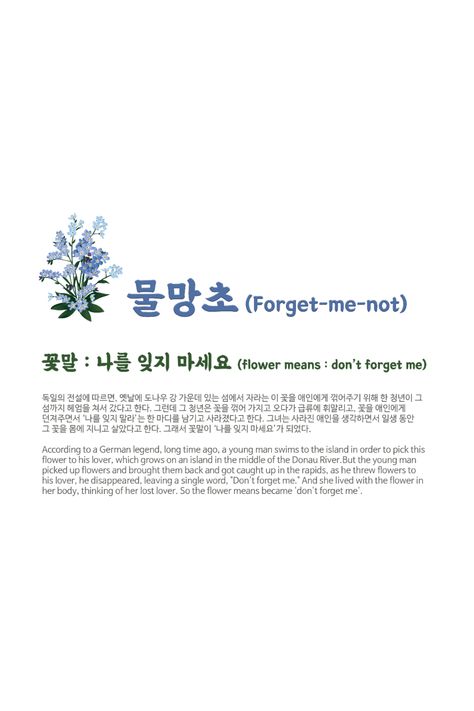 flower means : Don't forget me Peony And Forget Me Not Bouquet, Delphinium Flower Meaning, White Forget Me Not Flowers, Don't Forget Me Flower, Forget Me Nots Aesthetic, Forget Me Not Flowers Tatoos, Forget Me Not Flowers Wallpaper, Forget Me Not Flowers Aesthetic, Forget Me Not Wallpaper