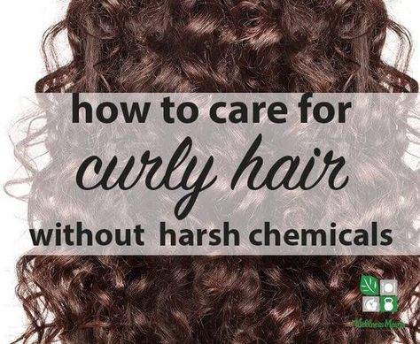 Tutorial on how to care for curly hair with natural products including shampoo, conditioner, mousse, gel, hair oil and more! Care For Curly Hair, Gel Hair, Wellness Mama, Coconut Oil Hair, Hair Mousse, Hair Problems, Curly Hair Care, Curly Hair Tips, Shampoo Conditioner