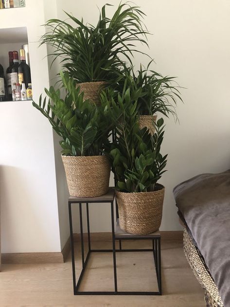 Plant Decor Living Room, Patio Table Decor, Houseplants Decor, Wallpaper Design For Bedroom, Plant Decor Indoor, House Plants Decor, House Plants Indoor, Decor Minimalist, Living Room Decor Apartment