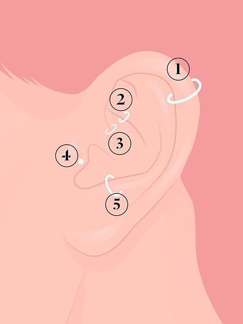 Ohrknorpel Piercing, Auricle Piercing, Snug Piercing, Fashion Tumblr, Aesthetic Love, Tragus Piercings, Photography Fashion, Instagram Aesthetic, Ear Piercings