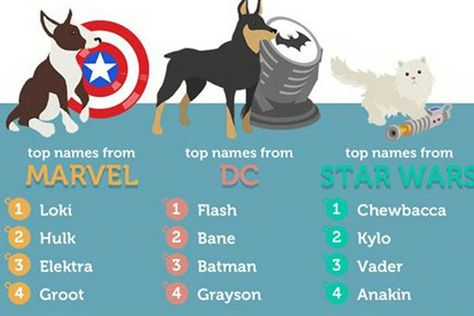 Marvel Names For Dogs, Marvel Dog Names, Marvel Names, Dogs Names List, Best Dog Names, Name List, Dog Costumes, Reading List, Pretty Shoes