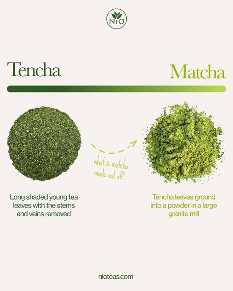 What is Matcha Made Out of? It’s made from Tencha leaves. Tencha is made from the younger tea leaves that come from shaded tea plants. They need to have their stems removed in order to improve their flavor. Once these tencha leaves are produced, they can then be ground into a fine powder in a large stone mill to produce matcha. If you want to try some of the best matcha teas we’ve found after traveling around Japan, you can visit nioteas.com and browse our selection. #nioteas #japanesegreent... Tea Plants, What Is Matcha, Best Matcha, Tea Plant, Large Stone, Matcha Tea, Tea Leaves, Travel Around, Green Tea