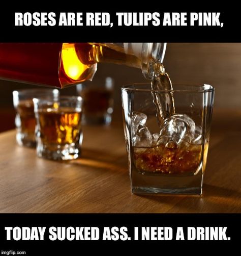 I'll Drink To That Drinking Memes Humor, Bar Quotes, Drinking Memes, I Need A Drink, Daily Jokes, Hello Friday, Cigars And Whiskey, Day Drinking, Memes Sarcastic