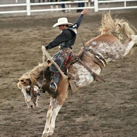 Bronc Riding Aesthetic, Rusty Wright, Ryder Wright, Western Art Ideas, Western Wall Collage, Destiny Aesthetic, Dear Rodeo, Riding Pictures, Saddle Bronc Riding